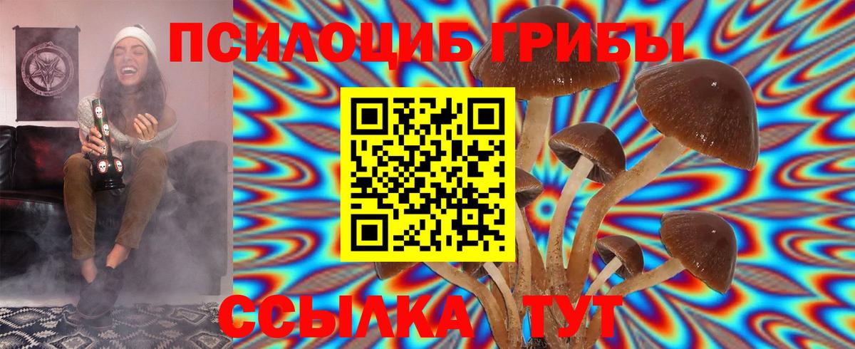 Галлюциногенные грибы Psilocybine cubensis  Вход с VPN  цены   Артём 